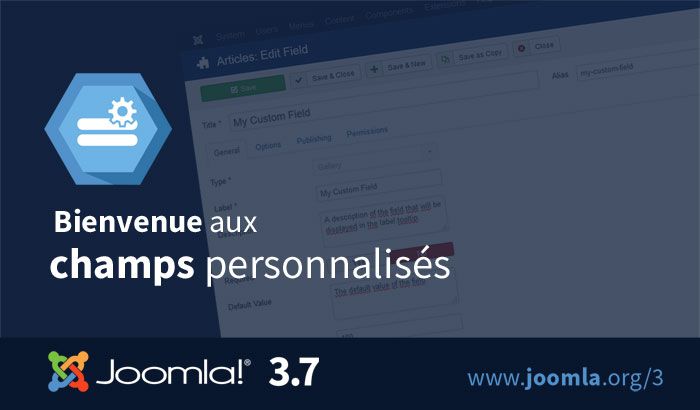 Joomla 3.7 custom fields